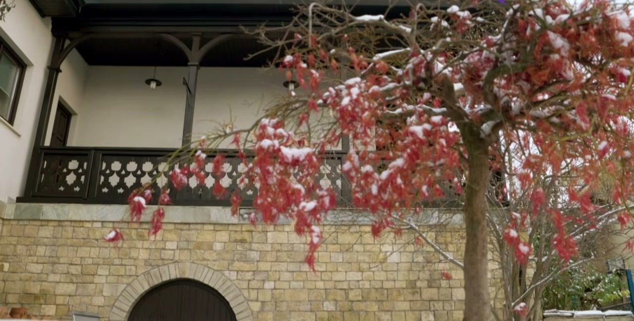 The wall and garden of an old house in Iasi, filmed from the street