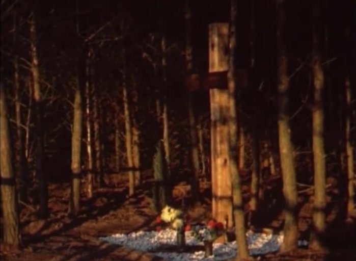 A tall wooden cross among pine trunks in low warm light, flowers on a bed of white stones at its foot