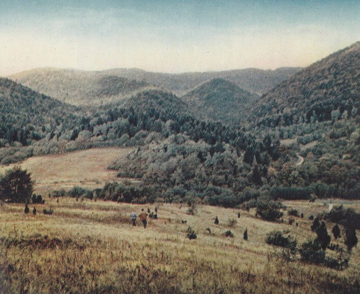 A colour photograph of a mountain valley with wooded hills and a meadow in the foreground, small figures walking across it